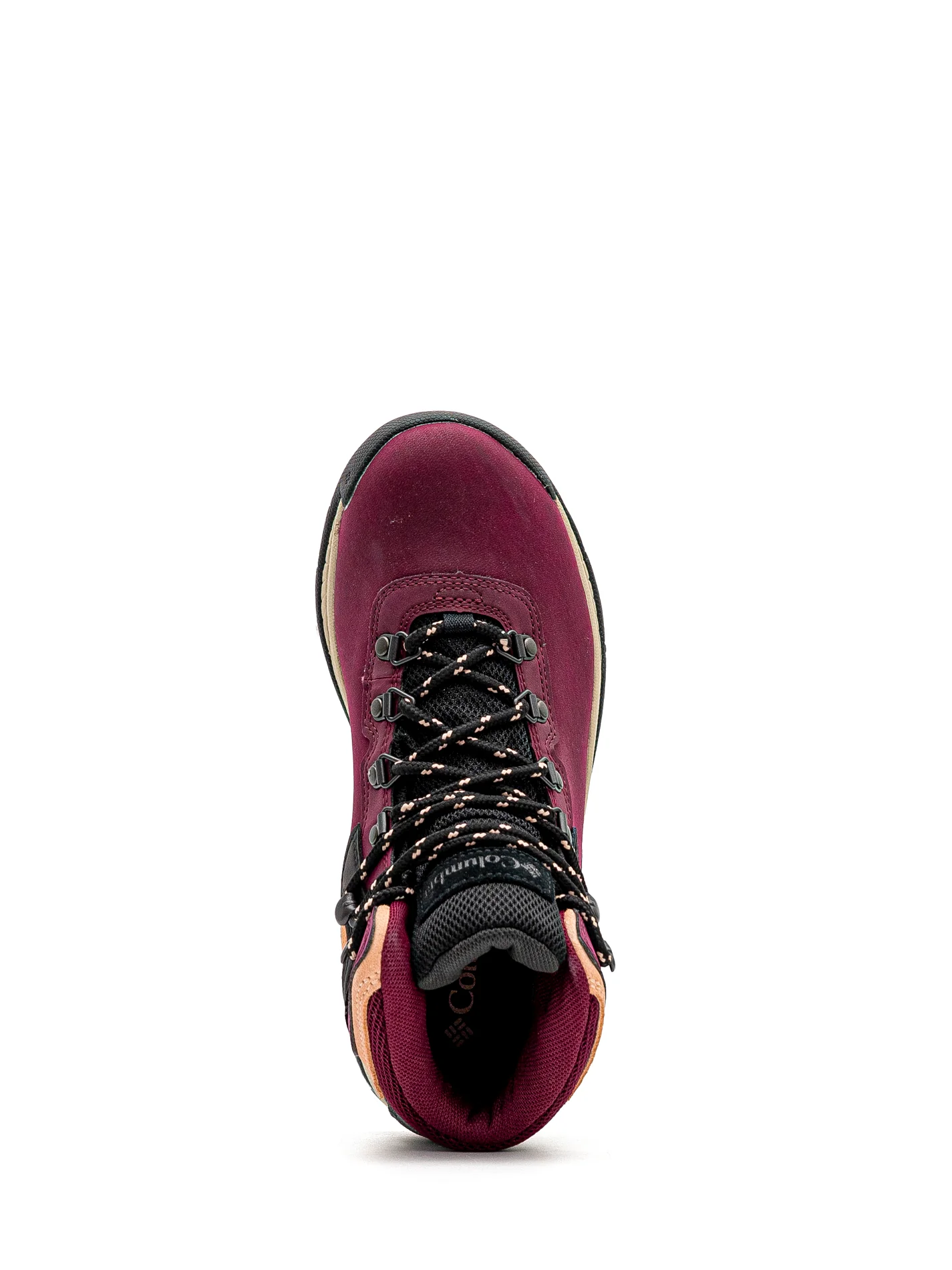 Newton ridge plus - Pourpre - #13M-202 - Image 5