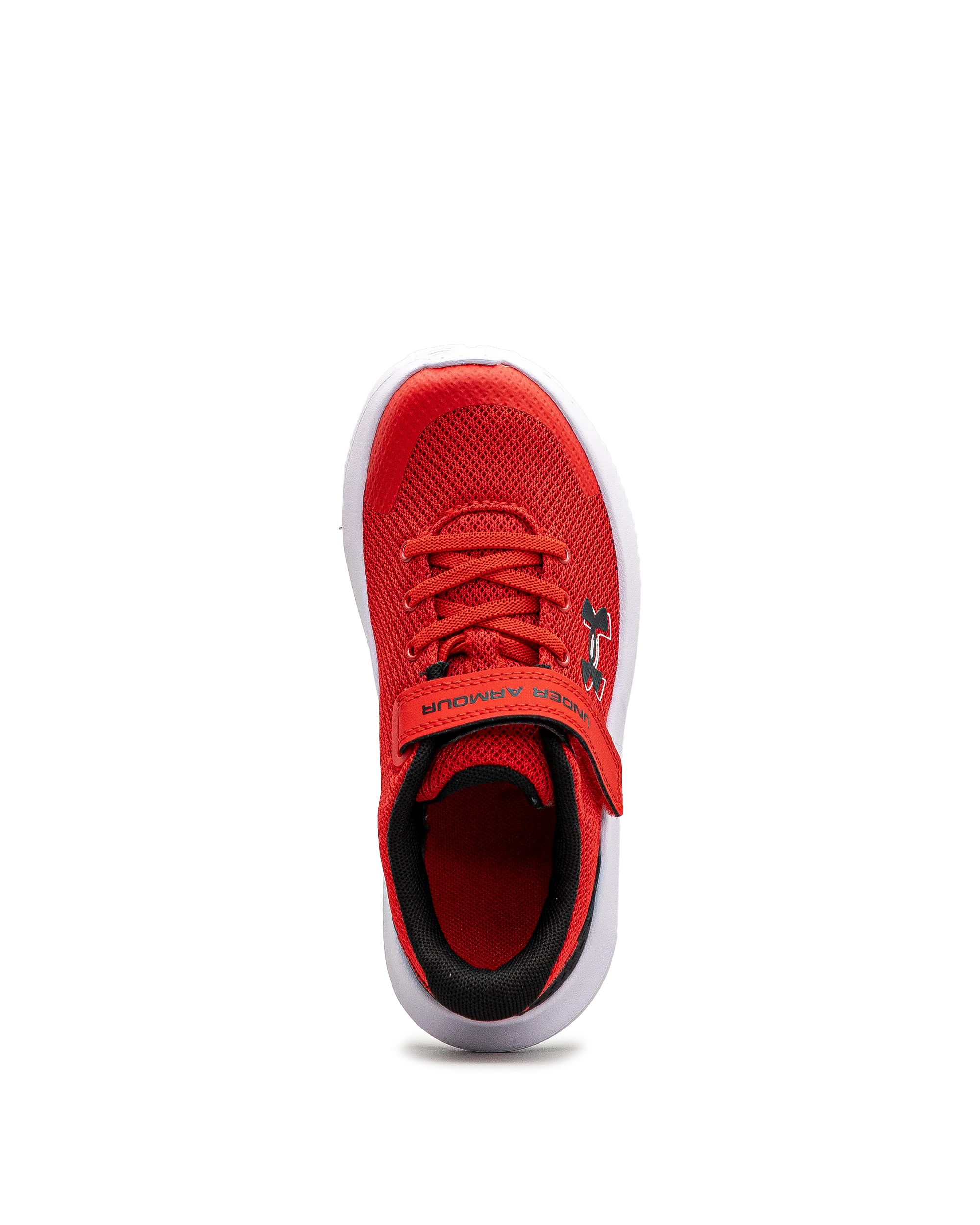 Surge 4ac ps  - Rouge - #43E-61 - Image 5