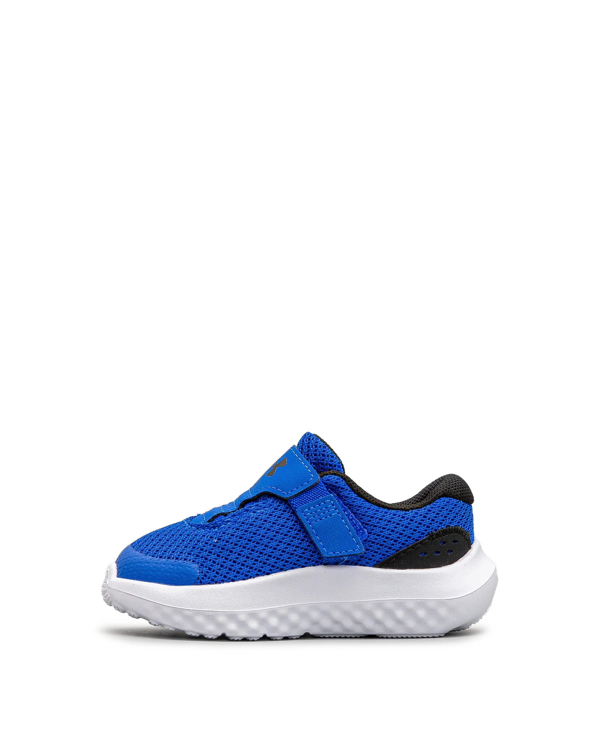 Surge 4ac td  - Bleu - #43E-60 - Image 3
