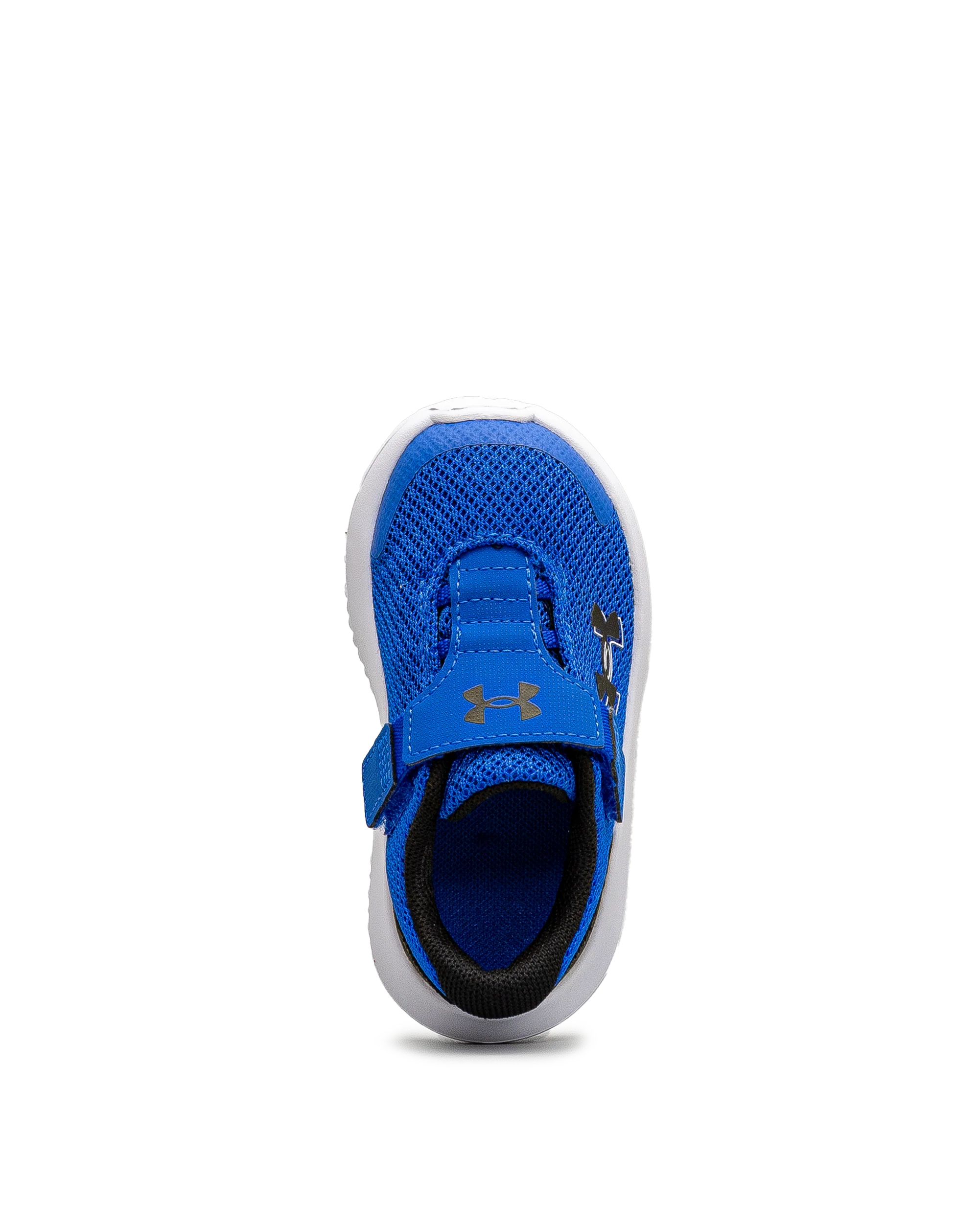 Surge 4ac td  - Bleu - #43E-60 - Image 5