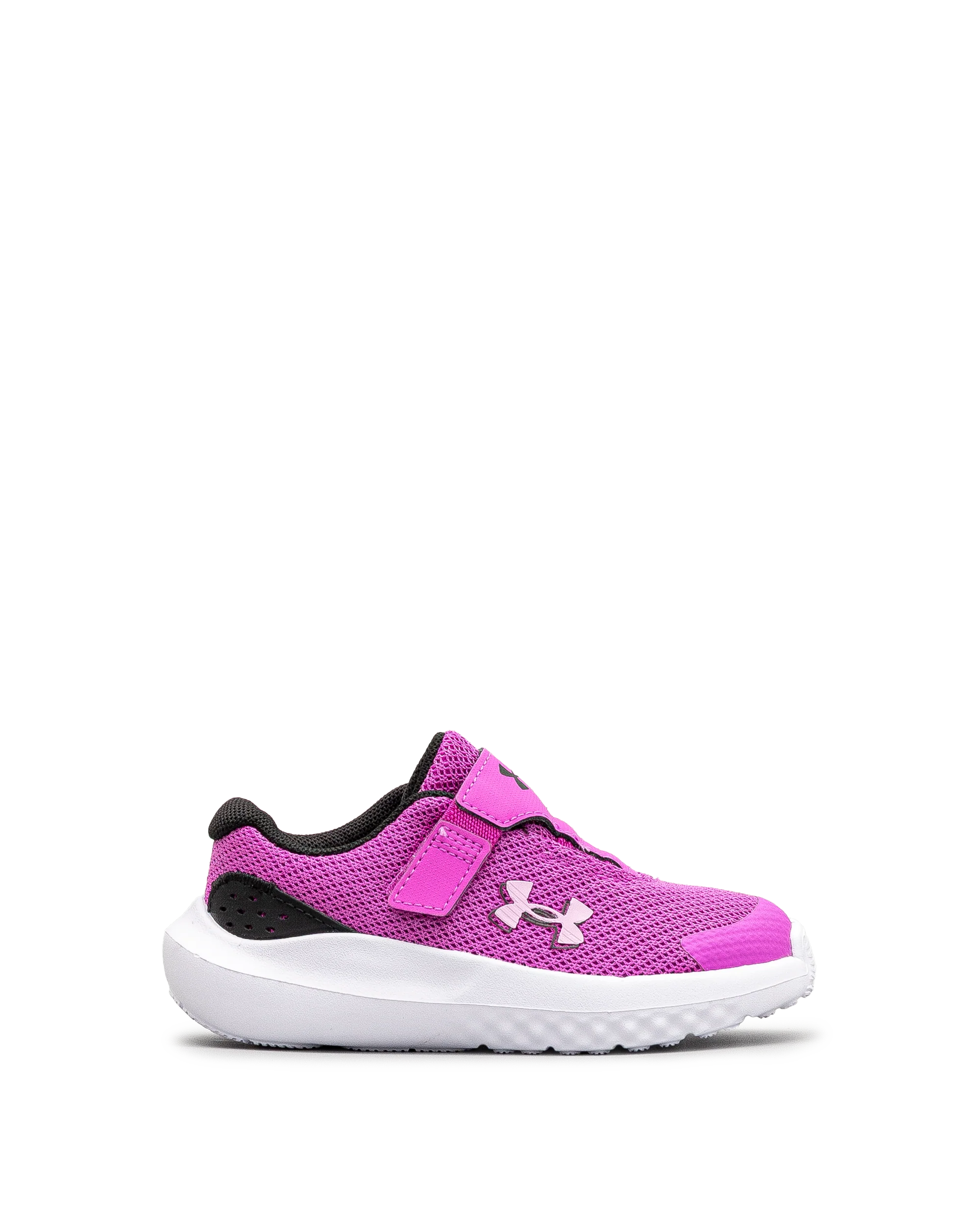 Surge 4ac td  - Rose - #43E-60 - Image 2