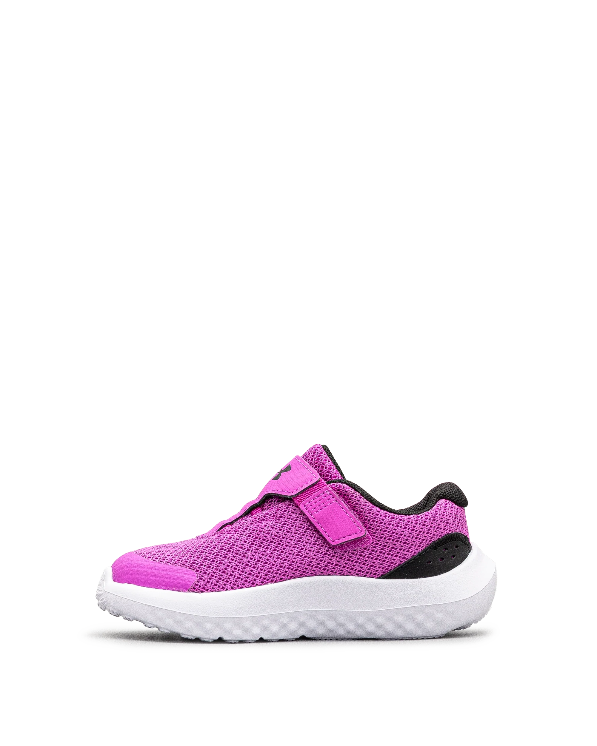 Surge 4ac td  - Rose - #43E-60 - Image 3