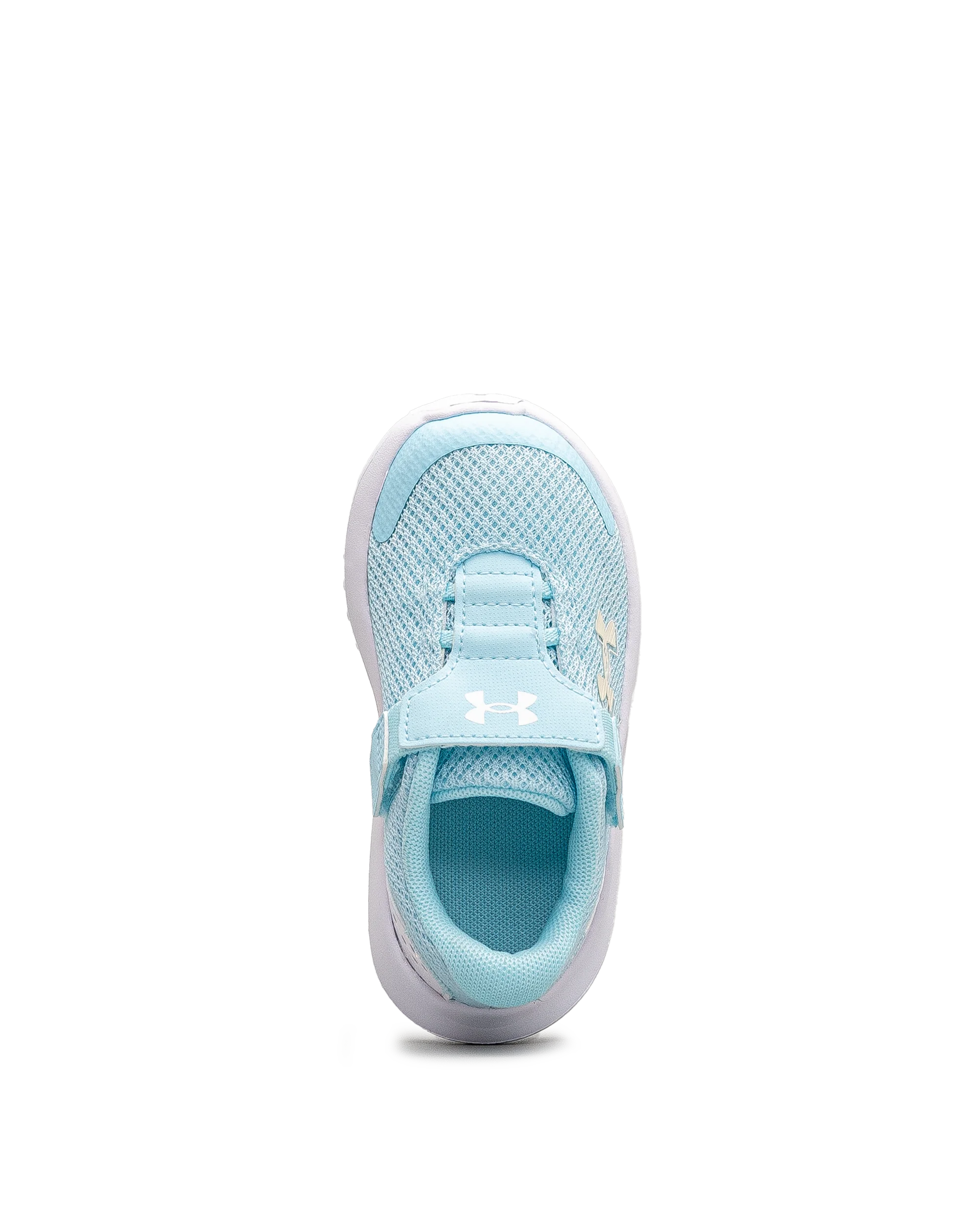 Surge 4ac td  - Turquoise - #43E-60 - Image 5